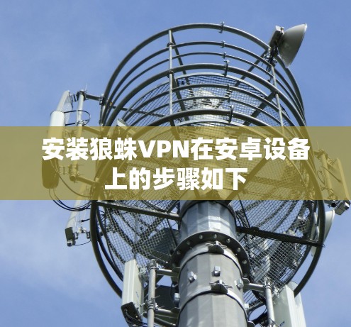 安装狼蛛VPN在安卓设备上的步骤如下