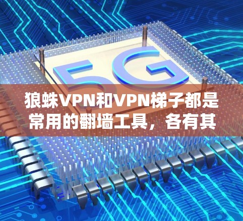 狼蛛VPN和VPN梯子都是常用的翻墙工具，各有其特点和适用场景。以下是对它们的详细比较