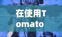 在使用Tomato VPN之前，请确保按照以下步骤操作，以确保顺利连接