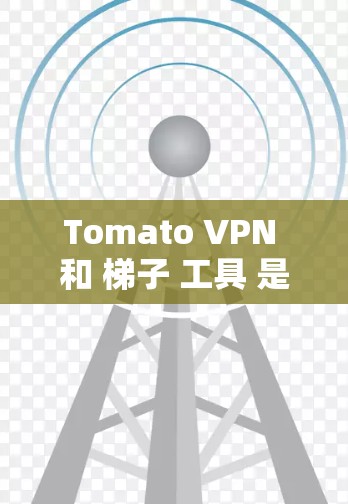 Tomato VPN 和 梯子 工具 是两个不同的网络工具，分别用于不同的用途。以下是对这两个工具的详细介绍