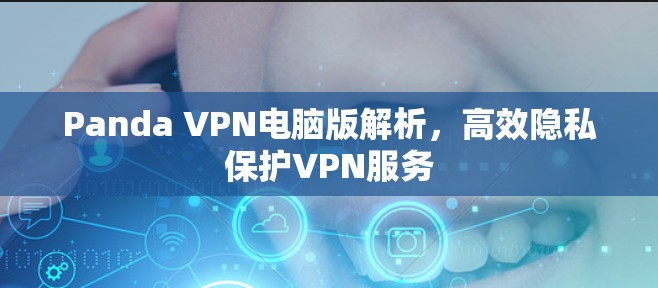 Panda VPN电脑版解析，高效隐私保护VPN服务