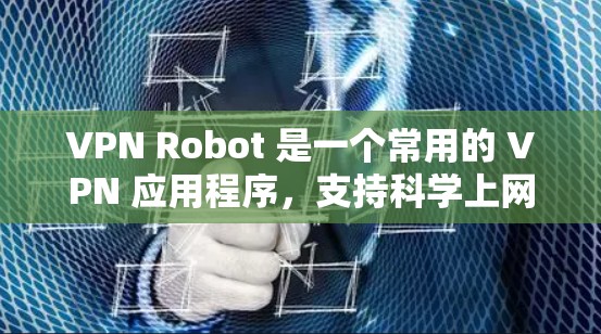 VPN Robot 是一个常用的 VPN 应用程序，支持科学上网和隐私保护。以下是使用 VPN Robot 的基本步骤和常见问题的解决方法