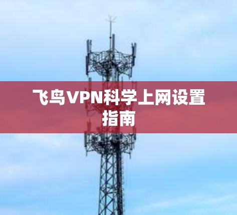 飞鸟VPN科学上网设置指南