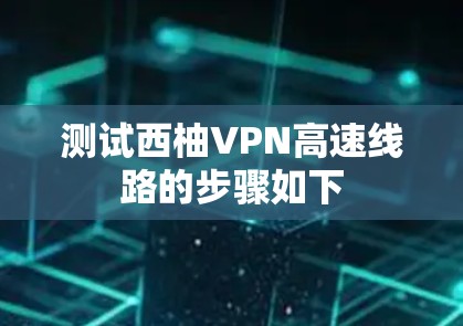 测试西柚VPN高速线路的步骤如下