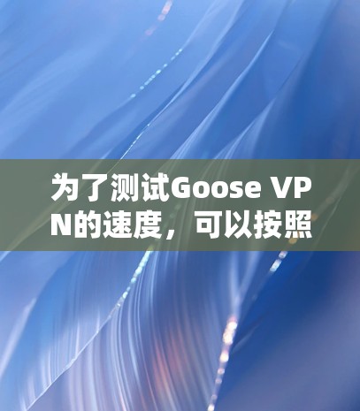 为了测试Goose VPN的速度，可以按照以下步骤进行
