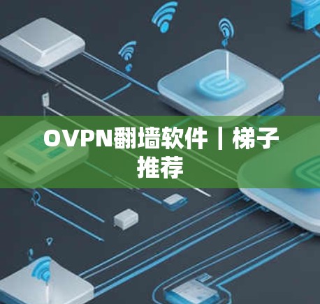 OVPN翻墙软件｜梯子推荐