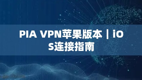 PIA VPN苹果版本｜iOS连接指南