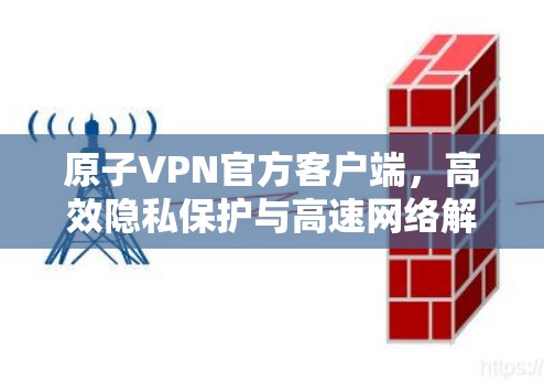 原子VPN官方客户端，高效隐私保护与高速网络解决方案