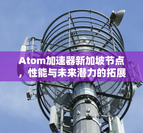 Atom加速器新加坡节点，性能与未来潜力的拓展