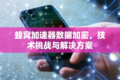 蜂窝加速器数据加密，技术挑战与解决方案